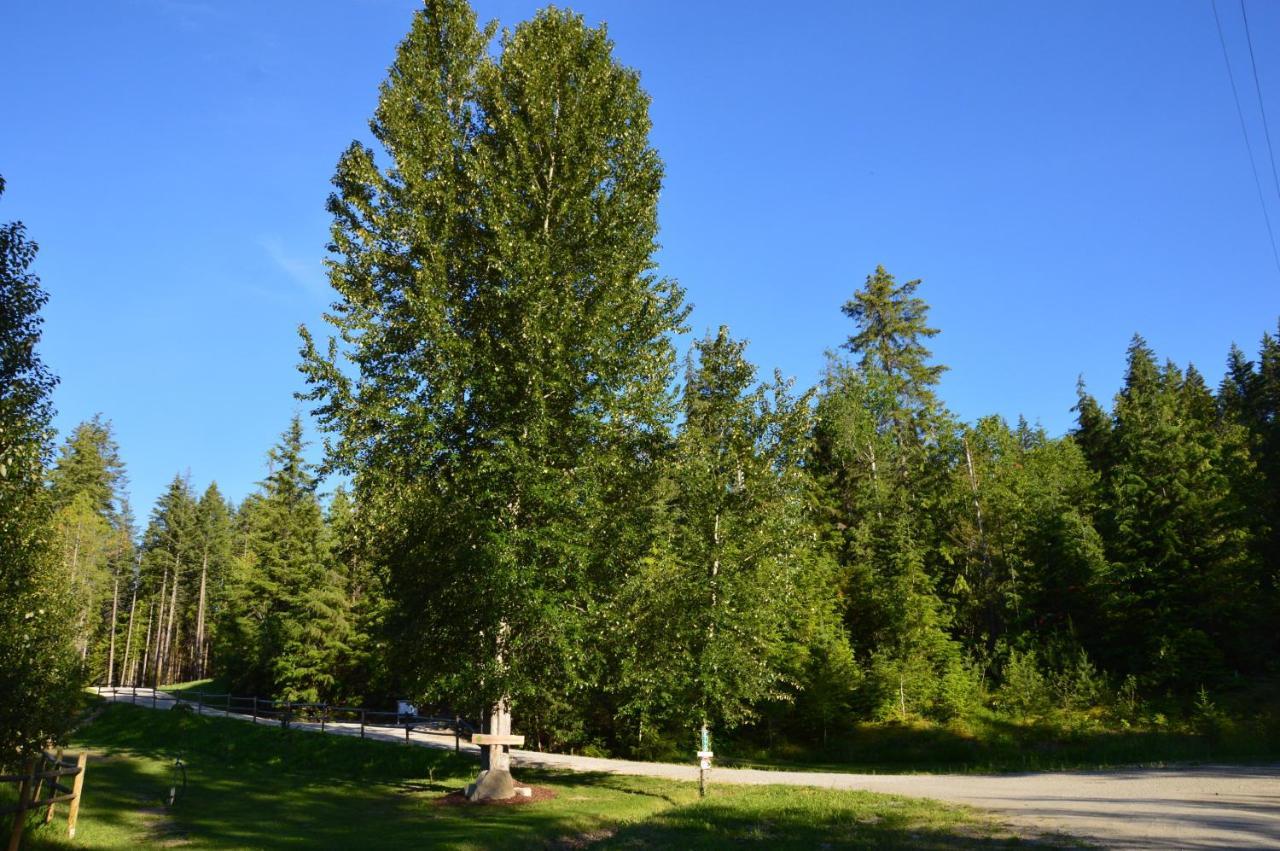 Woodland Cabins Micro Resort Sorrento Zewnętrze zdjęcie